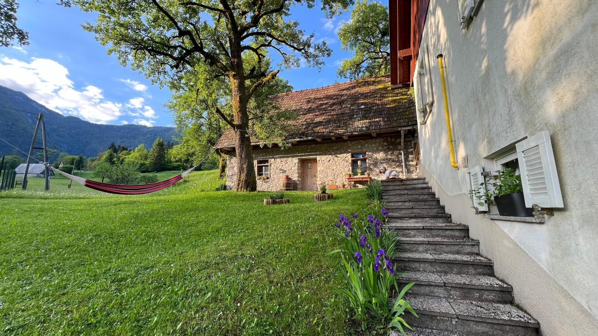 Apartments Mala Korita Soce Soča Exterior foto
