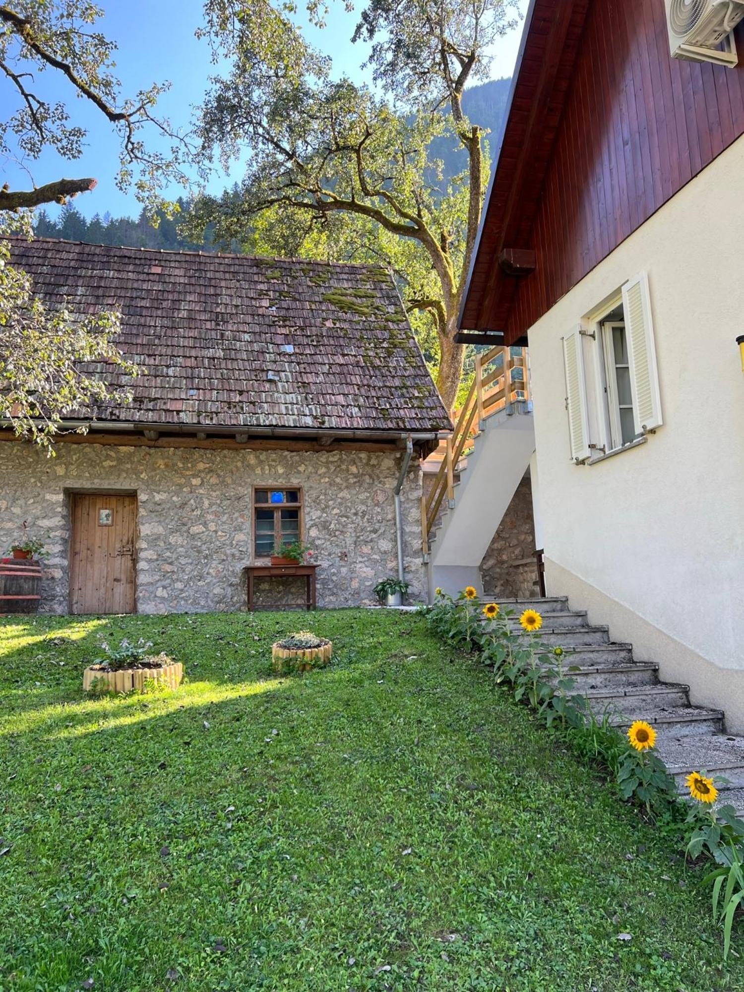 Apartments Mala Korita Soce Soča Exterior foto