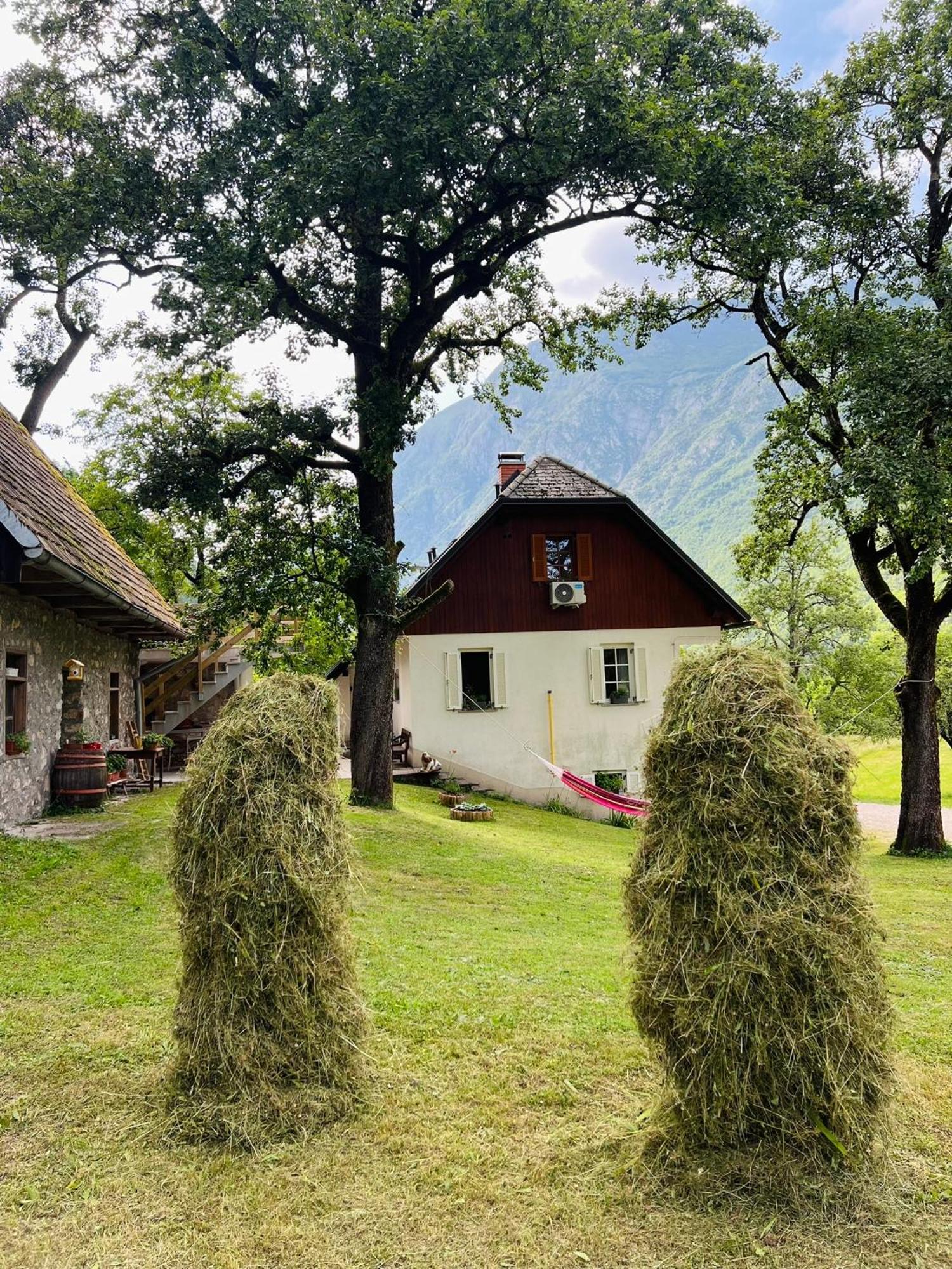 Apartments Mala Korita Soce Soča Exterior foto
