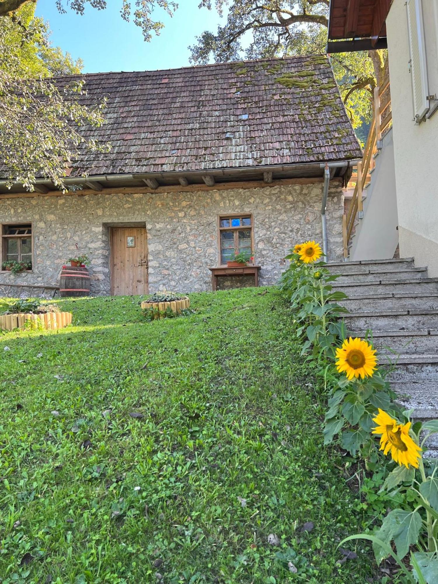 Apartments Mala Korita Soce Soča Exterior foto